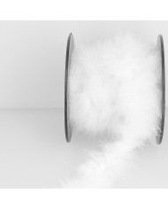 Ruban plumes marabout N°3 blanc