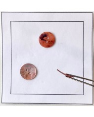 Bouton nacre rond rose Bouton nacre rond rose