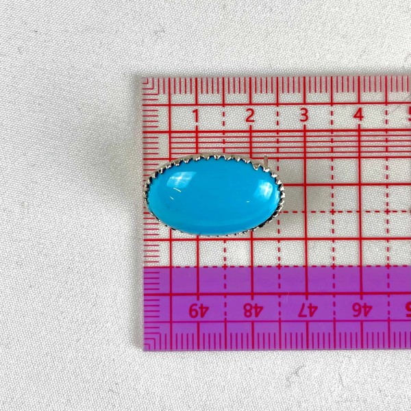 Bouton à griffe ovale bleu Bouton à griffe ovale bleu