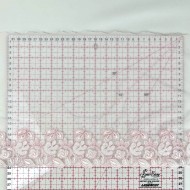 Dentelle fleurs blanches roses sur tulle blanc 24cm