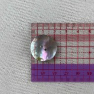 Bouton nacre rond naturel 20mm