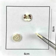 Bouton rond nacre blanc 10mm