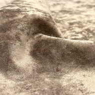 Tissu velours Lido Taupe - Tissu d'éditeur Tissu velours Lido Taupe - Tissu d'éditeur